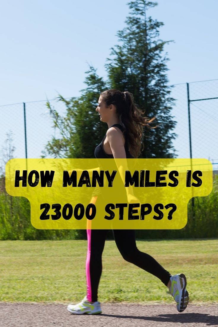 how many miles is 23000 steps