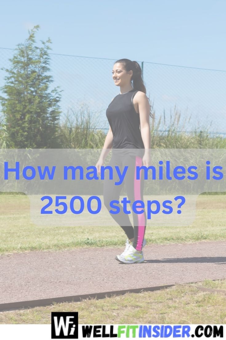 how many miles is 2500 steps